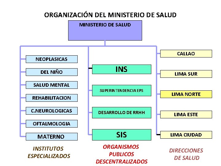 ORGANIZACIÓN DEL MINISTERIO DE SALUD CALLAO NEOPLASICAS DEL NIÑO SALUD MENTAL INS SUPERINTENDENCIA EPS