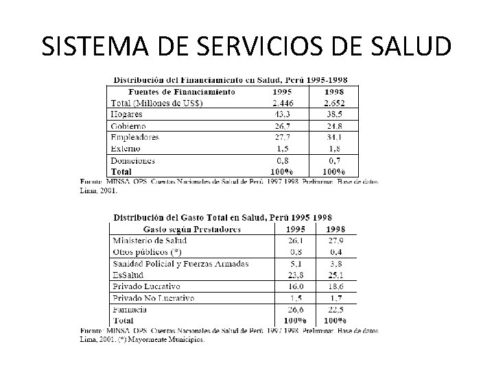 SISTEMA DE SERVICIOS DE SALUD 