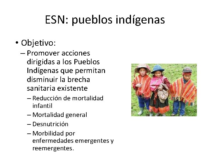 ESN: pueblos indígenas • Objetivo: – Promover acciones dirigidas a los Pueblos Indígenas que