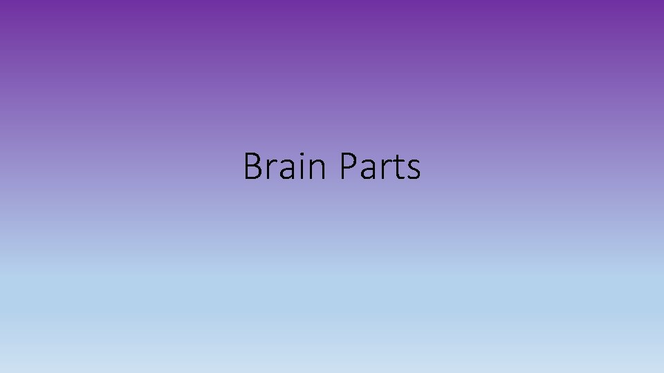 Brain Parts 