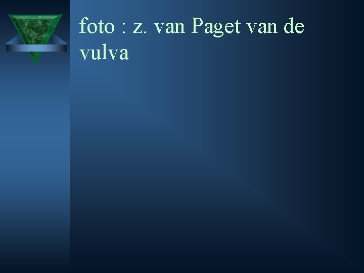 foto : z. van Paget van de vulva 