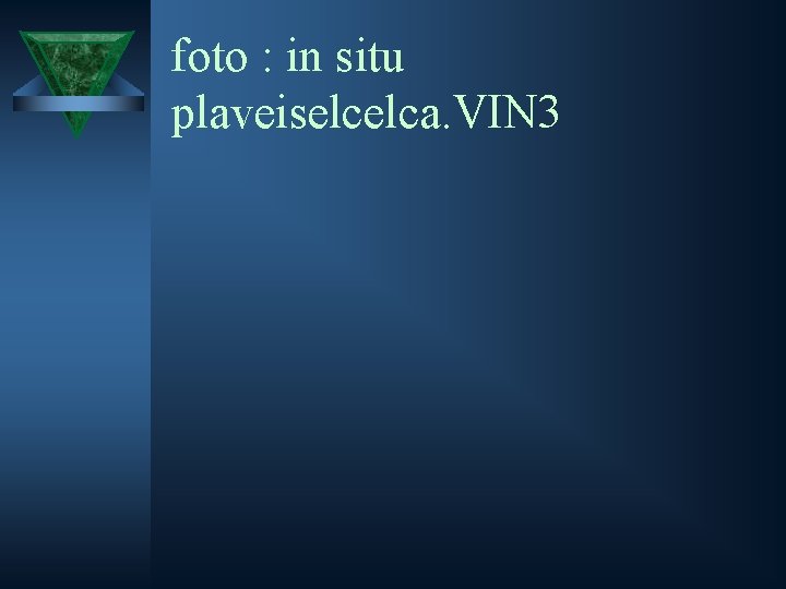 foto : in situ plaveiselcelca. VIN 3 