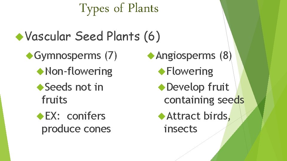 Types of Plants Vascular Seed Plants (6) Gymnosperms (7) Non-flowering Seeds not in fruits