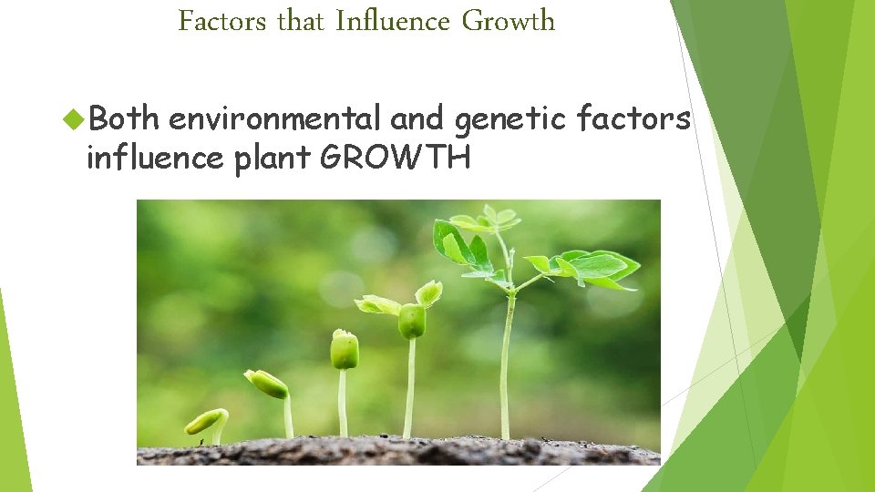 Factors that Influence Growth Both environmental and genetic factors influence plant GROWTH 