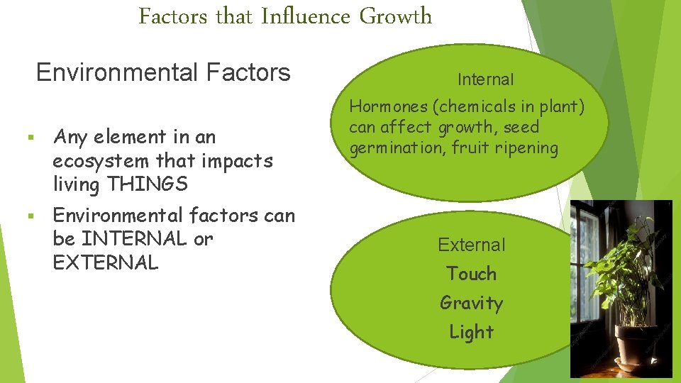 Factors that Influence Growth Environmental Factors § Any element in an ecosystem that impacts