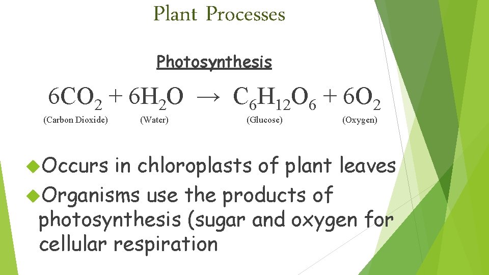 Plant Processes Photosynthesis 6 CO 2 + 6 H 2 O → C 6