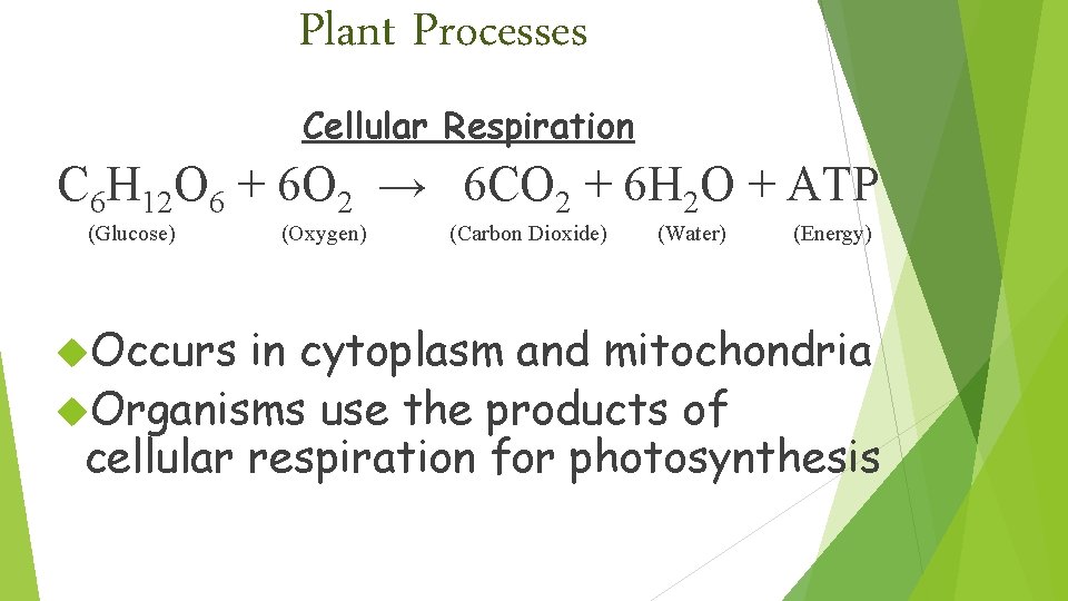 Plant Processes Cellular Respiration C 6 H 12 O 6 + 6 O 2