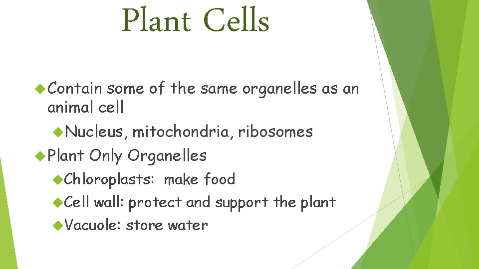 Plant Cells Contain some of the same organelles as an animal cell Nucleus, Plant