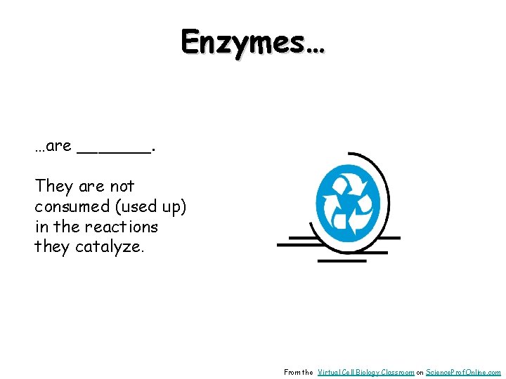 Enzymes… …are _______. They are not consumed (used up) in the reactions they catalyze.