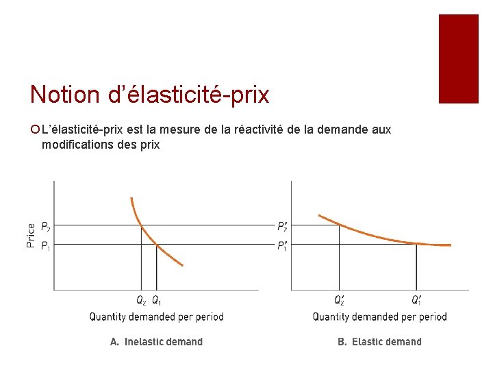 Notion d’élasticité-prix ¡ L’élasticité-prix est la mesure de la réactivité de la demande aux Notion d’élasticité-prix ¡ L’élasticité-prix est la mesure de la réactivité de la demande aux