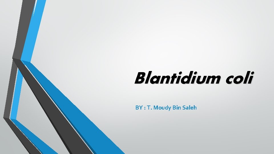 Blantidium coli BY : T. Moudy Bin Saleh 