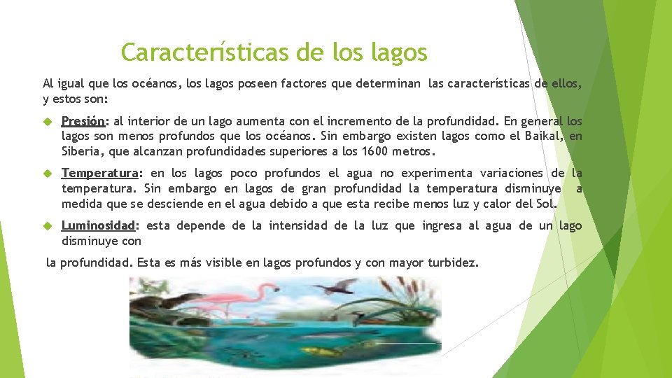 Características de los lagos Al igual que los océanos, los lagos poseen factores que