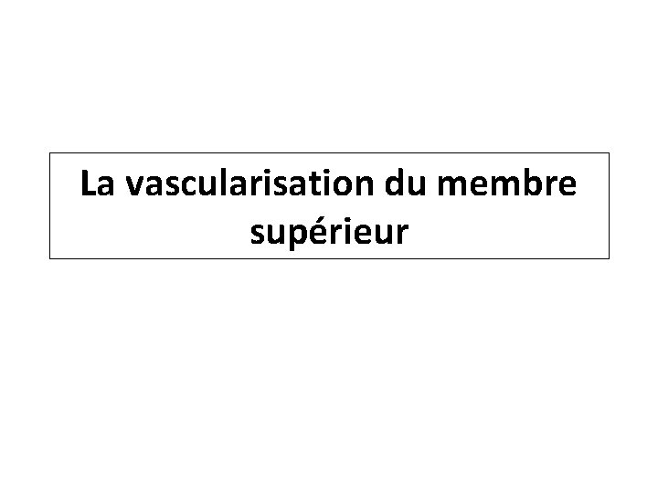 La vascularisation du membre supérieur 