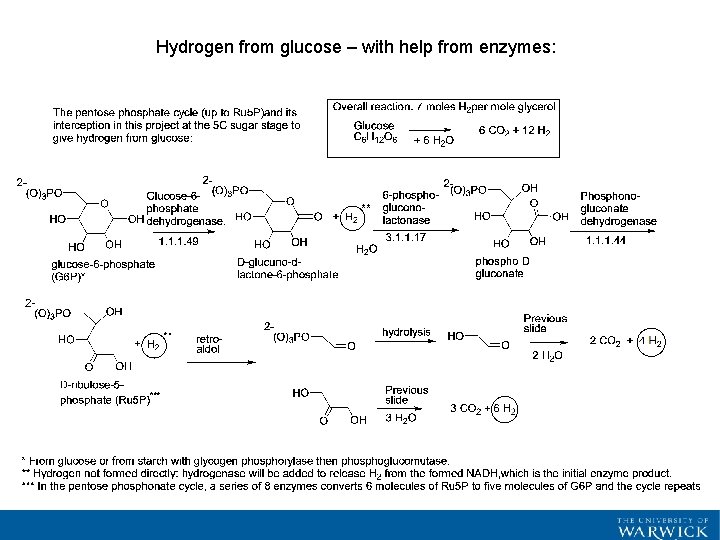 Hydrogen from glucose – with help from enzymes: 