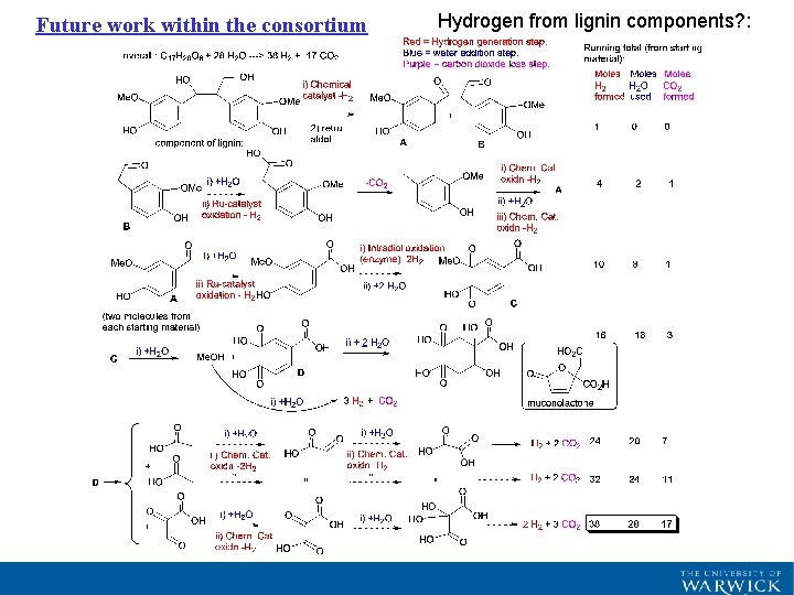 Future work within the consortium Hydrogen from lignin components? : 