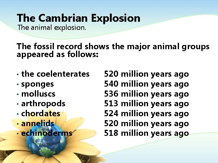 The Cambrian Explosion The animal explosion. The fossil record shows the major animal groups