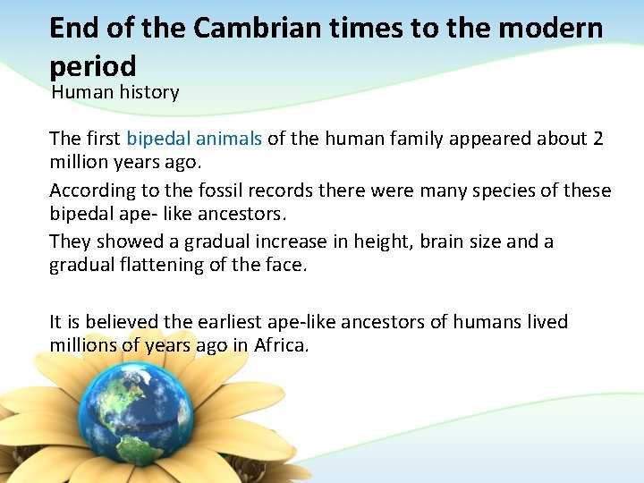 End of the Cambrian times to the modern period Human history The first bipedal