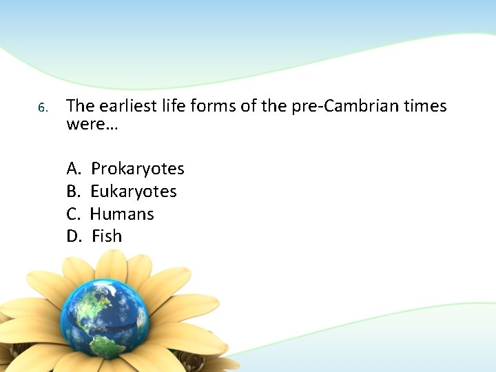6. The earliest life forms of the pre-Cambrian times were… A. B. C. D.