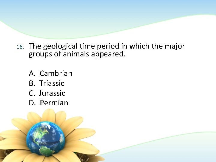 16. The geological time period in which the major groups of animals appeared. A.