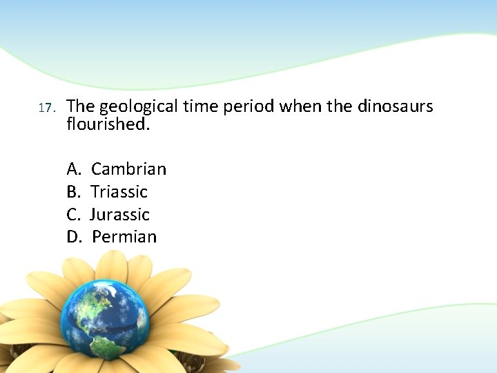 17. The geological time period when the dinosaurs flourished. A. B. C. D. Cambrian