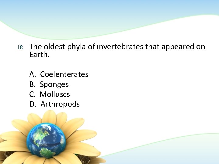 18. The oldest phyla of invertebrates that appeared on Earth. A. B. C. D.