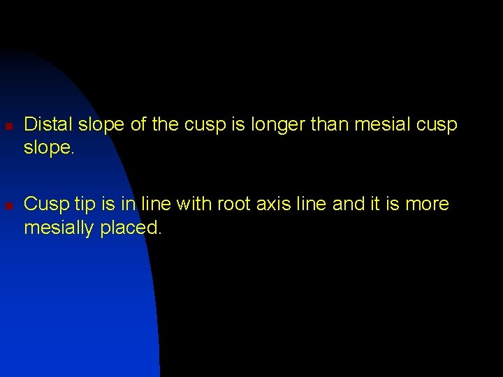 n n Distal slope of the cusp is longer than mesial cusp slope. Cusp