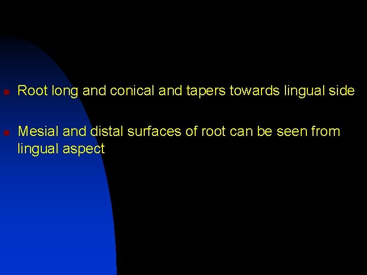 n n Root long and conical and tapers towards lingual side Mesial and distal