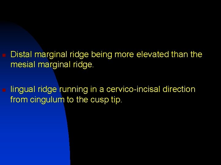 n n Distal marginal ridge being more elevated than the mesial marginal ridge. lingual