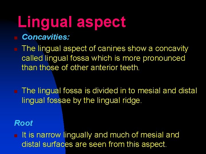 Lingual aspect n n n Concavities: The lingual aspect of canines show a concavity