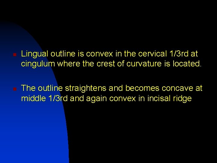 n n Lingual outline is convex in the cervical 1/3 rd at cingulum where