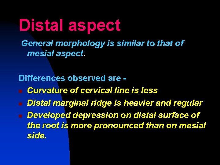 Distal aspect General morphology is similar to that of mesial aspect. Differences observed are