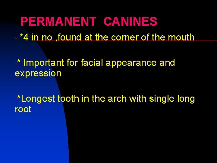 PERMANENT CANINES • *4 in no , found at the corner of the mouth