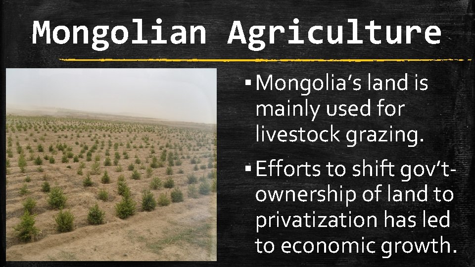 Mongolian Agriculture ▪ Mongolia’s land is mainly used for livestock grazing. ▪ Efforts to