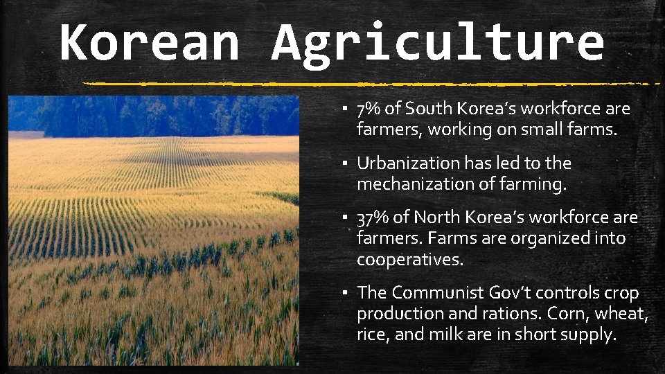 Korean Agriculture ▪ 7% of South Korea’s workforce are farmers, working on small farms.