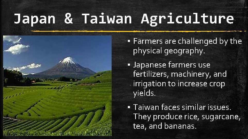 Japan & Taiwan Agriculture ▪ Farmers are challenged by the physical geography. ▪ Japanese