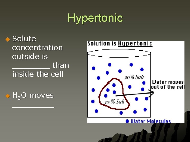 Hypertonic u u Solute concentration outside is ____ than inside the cell H 2