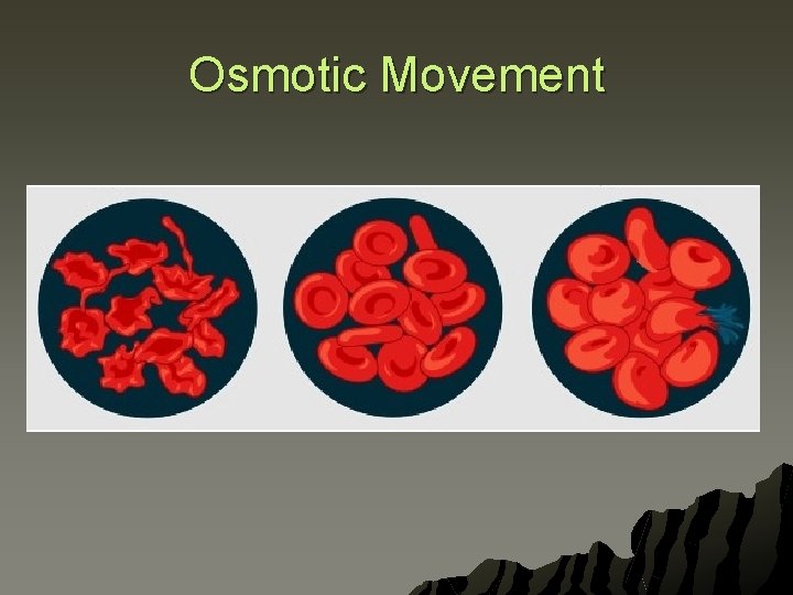 Osmotic Movement 