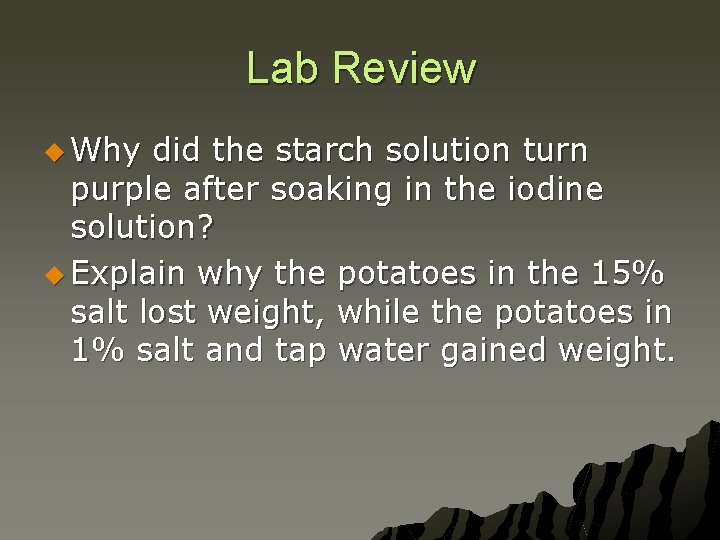 Lab Review u Why did the starch solution turn purple after soaking in the