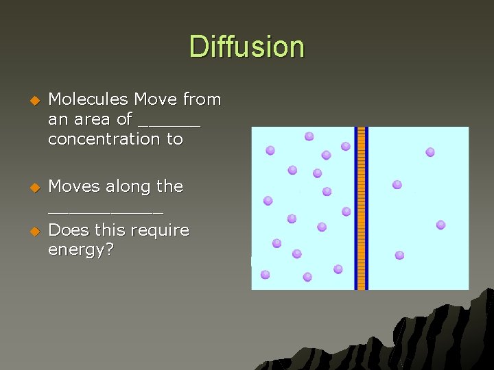 Diffusion u Molecules Move from an area of ______ concentration to u Moves along