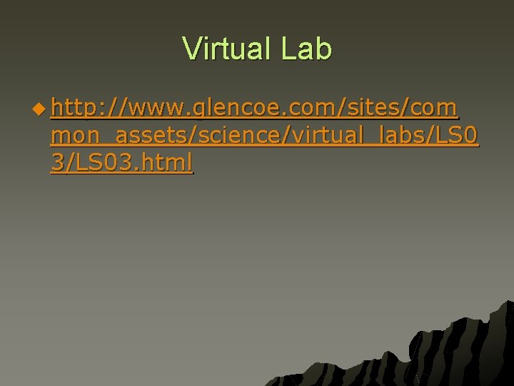 Virtual Lab u http: //www. glencoe. com/sites/com mon_assets/science/virtual_labs/LS 0 3/LS 03. html 