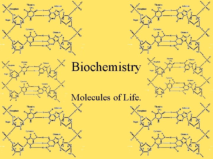 Biochemistry Molecules of Life. 