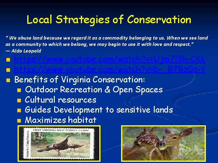 Local Strategies of Conservation “ We abuse land because we regard it as a