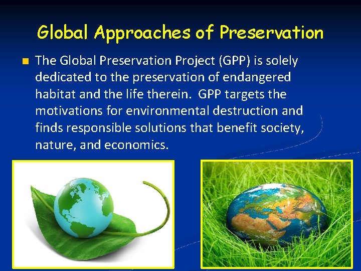 Global Approaches of Preservation The Global Preservation Project (GPP) is solely dedicated to the