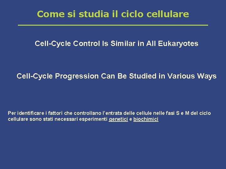 Come si studia il ciclo cellulare Cell-Cycle Control Is Similar in All Eukaryotes Cell-Cycle