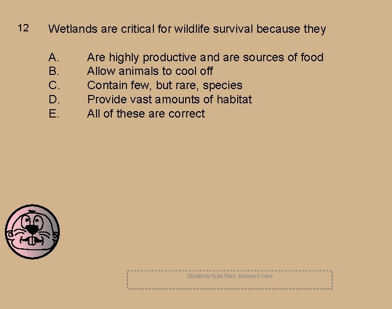 12 Wetlands are critical for wildlife survival because they A. B. C. D. E.