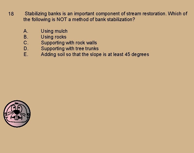 18 Stabilizing banks is an important component of stream restoration. Which of the following