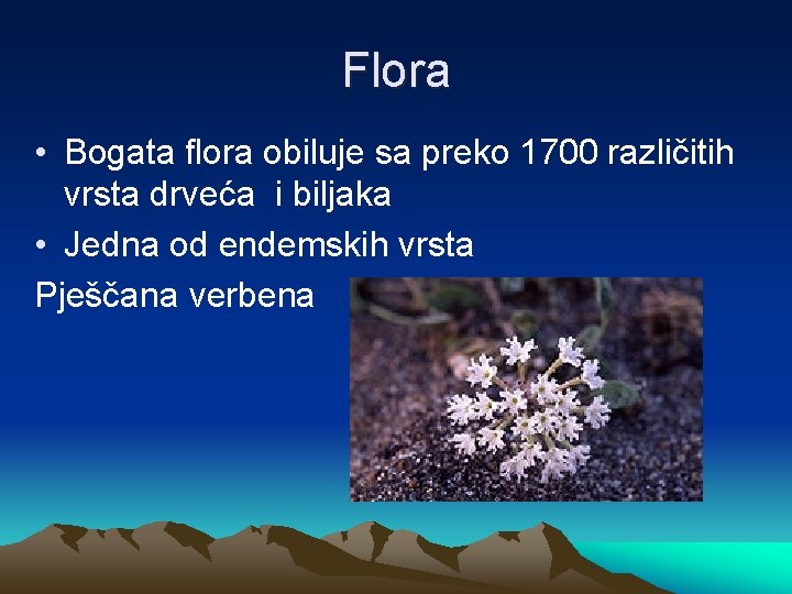 Flora • Bogata flora obiluje sa preko 1700 različitih vrsta drveća i biljaka •