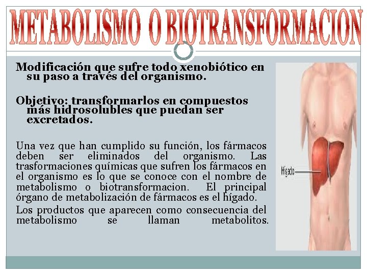 Modificación que sufre todo xenobiótico en su paso a través del organismo. Objetivo: transformarlos