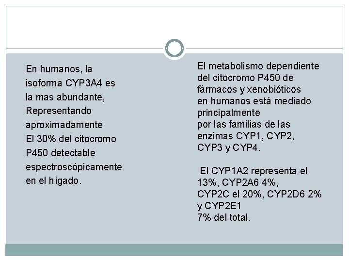 En humanos, la isoforma CYP 3 A 4 es la mas abundante, Representando aproximadamente