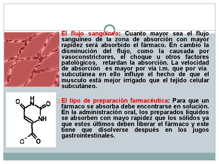 � El flujo sanguíneo: Cuanto mayor sea el flujo sanguíneo de la zona de